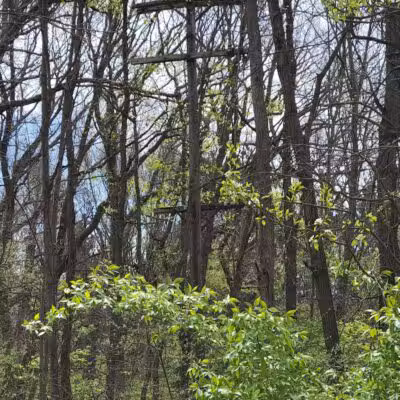 McLinden Nature Trails - Kalamazoo,