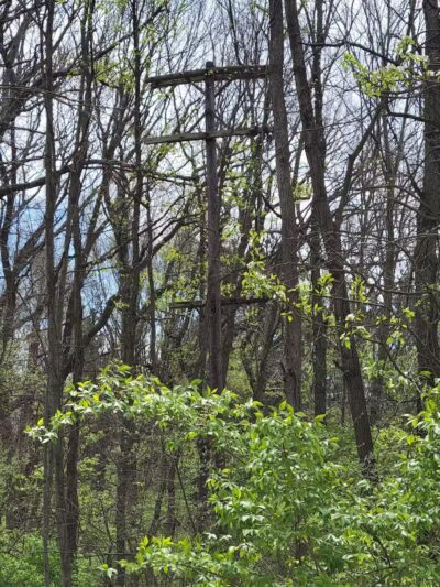 McLinden Nature Trails - Kalamazoo,