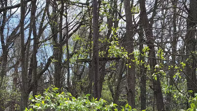 McLinden Nature Trails - Kalamazoo,