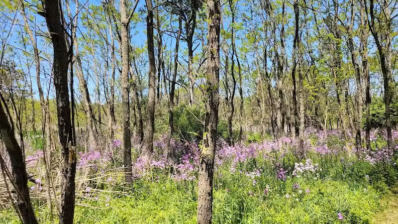 McLinden Nature Trails - Kalamazoo,