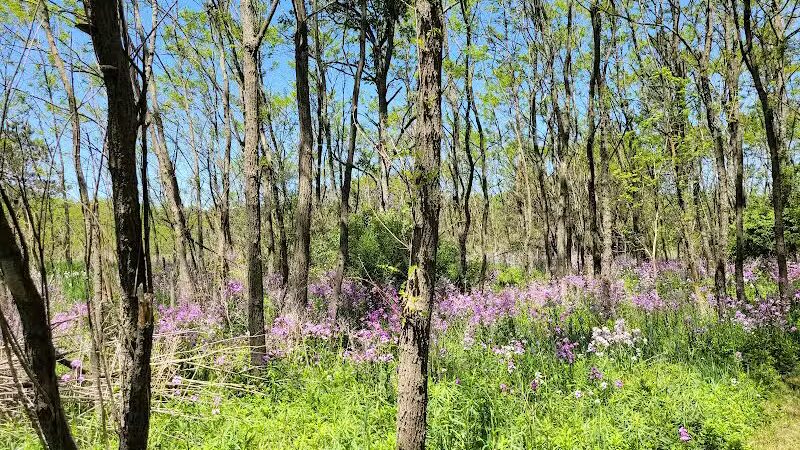 McLinden Nature Trails - Kalamazoo,