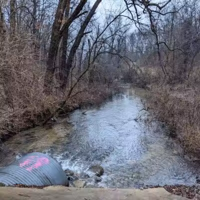 McLinden Nature Trails - Kalamazoo,