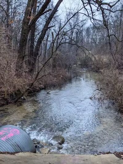 McLinden Nature Trails - Kalamazoo,