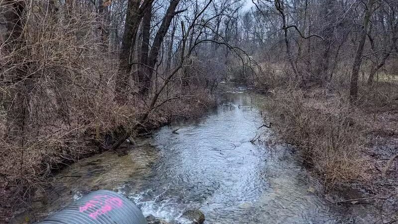 McLinden Nature Trails - Kalamazoo,