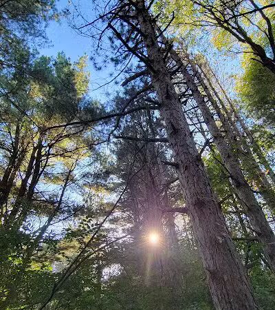 McLinden Nature Trails - Kalamazoo,