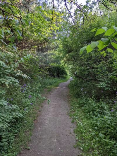 McLinden Nature Trails - Kalamazoo,