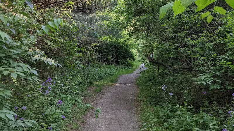 McLinden Nature Trails - Kalamazoo,