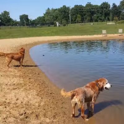 Meadow Run Dog Park - Kalamazoo,