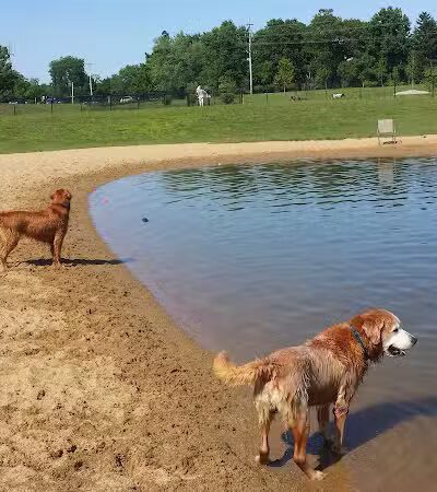 Meadow Run Dog Park - Kalamazoo,