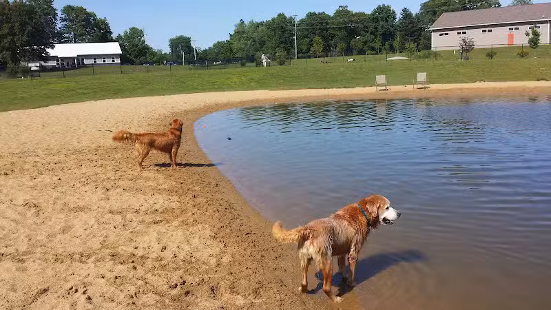 Meadow Run Dog Park - Kalamazoo,