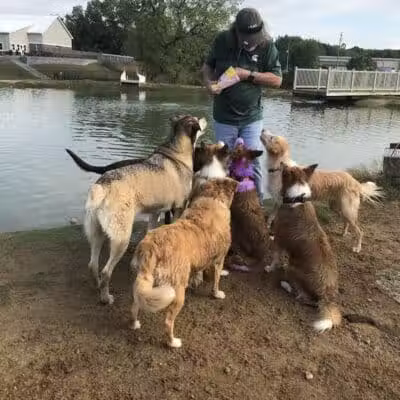 Meadow Run Dog Park - Kalamazoo,