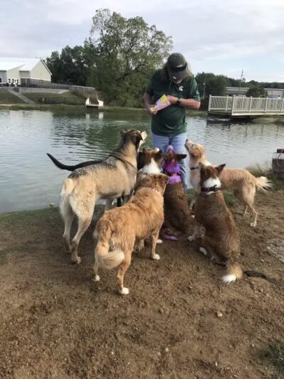 Meadow Run Dog Park - Kalamazoo,
