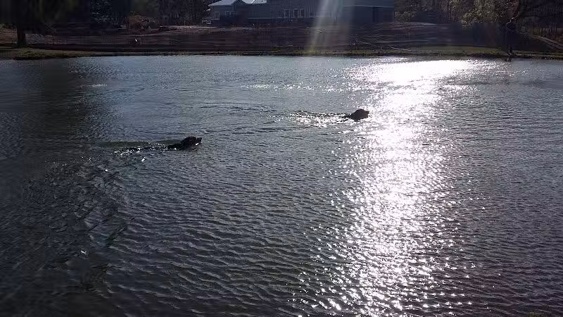 Meadow Run Dog Park - Kalamazoo,