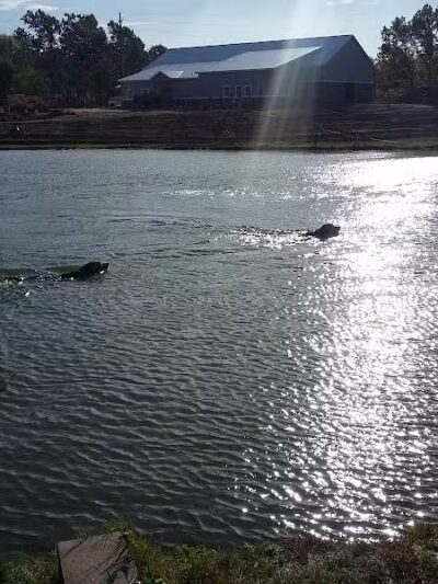 Meadow Run Dog Park - Kalamazoo,