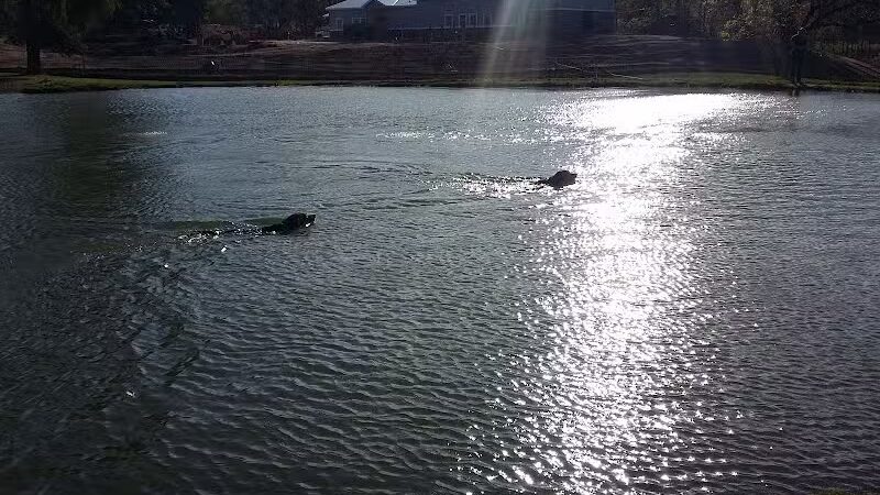 Meadow Run Dog Park - Kalamazoo,