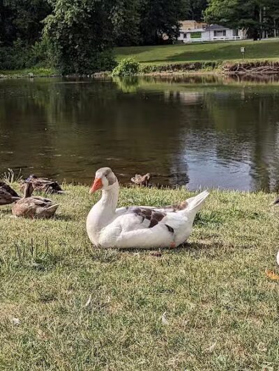 Merrill Park - Kalamazoo,