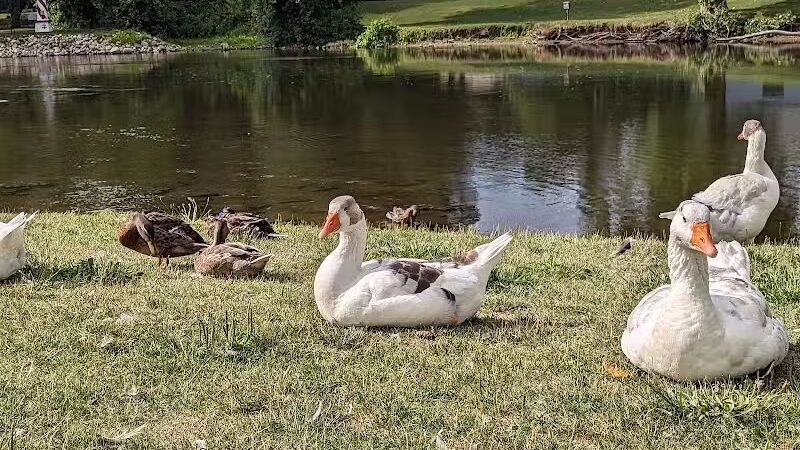 Merrill Park - Kalamazoo,