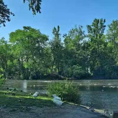 Merrill Park - Kalamazoo,
