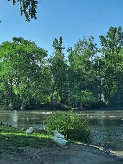 Merrill Park - Kalamazoo,