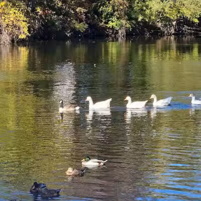 Merrill Park - Kalamazoo,