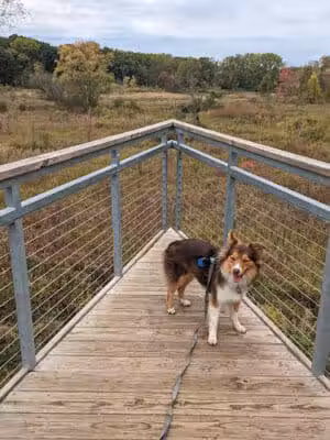 Bow in the Clouds Preserve - Kalamazoo,