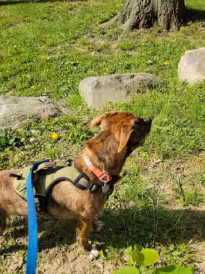 Cooper Park - Kalamazoo,