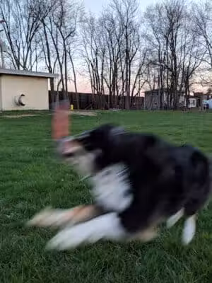 Emerald Drive Park - Kalamazoo,