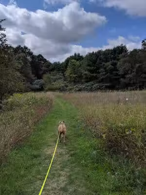 McLinden Nature Trails - Kalamazoo,