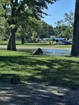 Merrill Park - Kalamazoo,