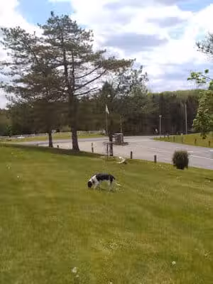 Robert Morris Park - Kalamazoo,