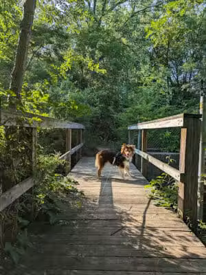 Spring Valley Park - Kalamazoo,