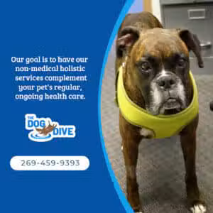 The Dog Dive, LLC - Kalamazoo,