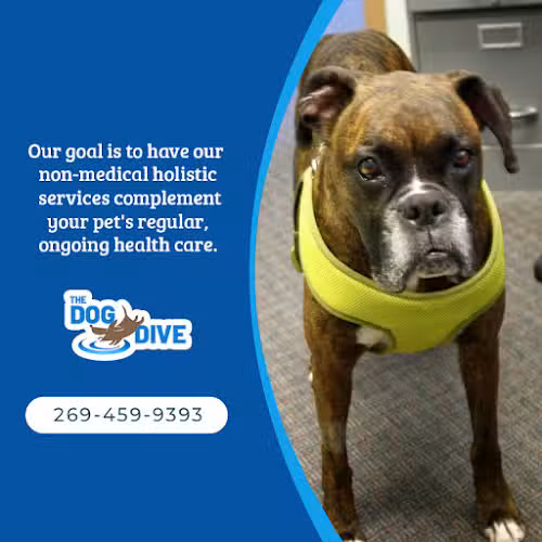 The Dog Dive, LLC - Kalamazoo,