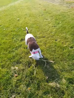 Upjohn Playground/Park - Kalamazoo,