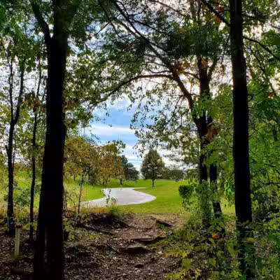 Robert Morris Park - Kalamazoo,