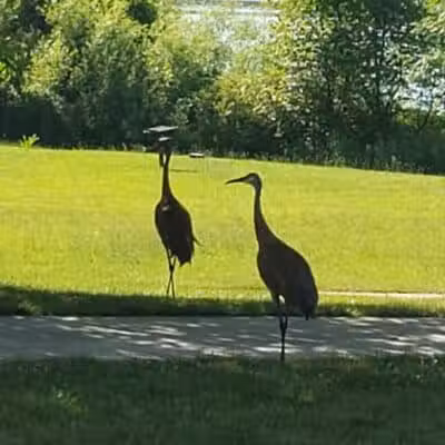 Robert Morris Park - Kalamazoo,