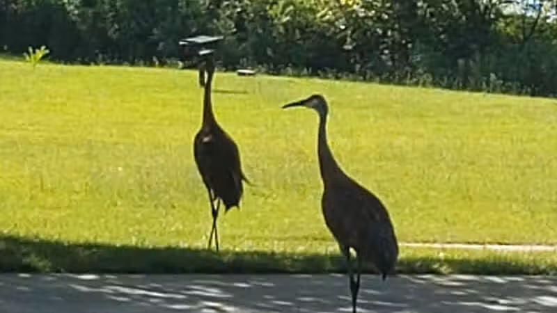 Robert Morris Park - Kalamazoo,
