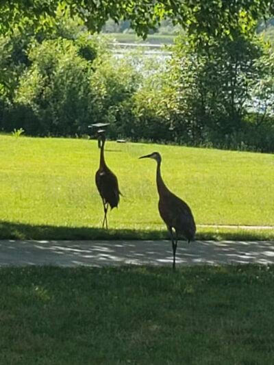Robert Morris Park - Kalamazoo,