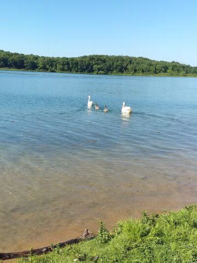 Robert Morris Park - Kalamazoo,