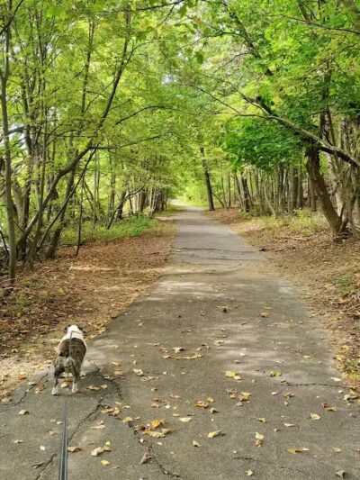 Spring Valley Park - Kalamazoo,