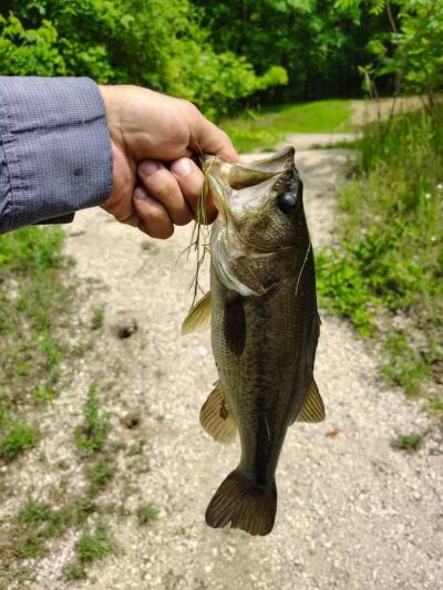 Spring Valley Park - Kalamazoo,