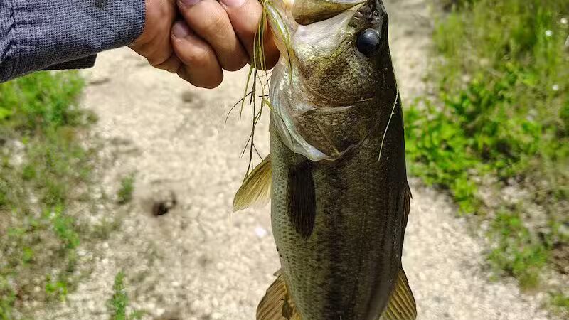 Spring Valley Park - Kalamazoo,