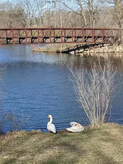 Spring Valley Park - Kalamazoo,