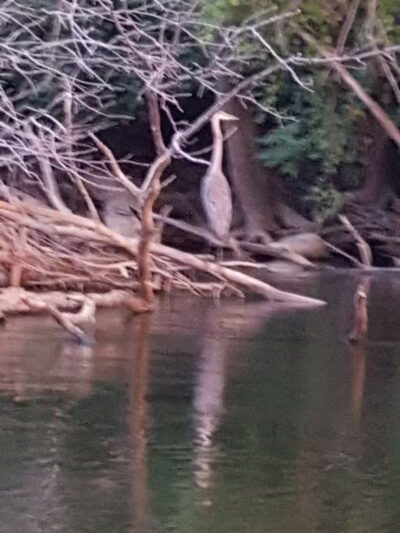 Sutherland Park - Kalamazoo,