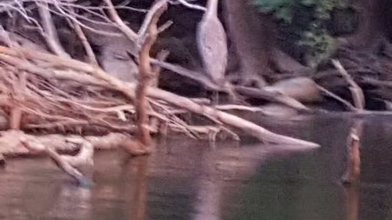 Sutherland Park - Kalamazoo,