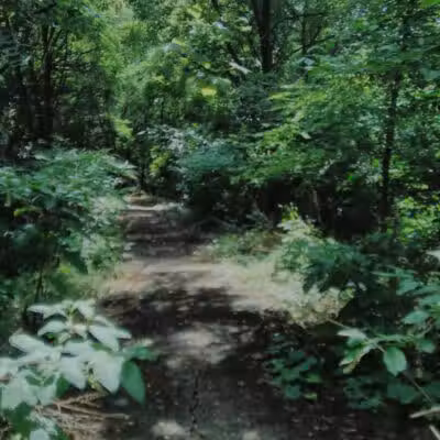 Sutherland Park - Kalamazoo,
