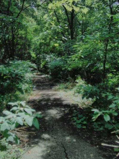 Sutherland Park - Kalamazoo,