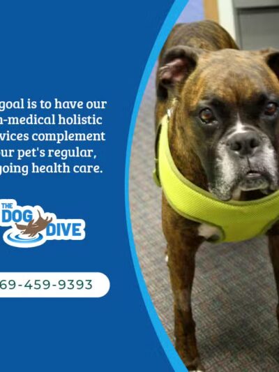 The Dog Dive, LLC - Kalamazoo,