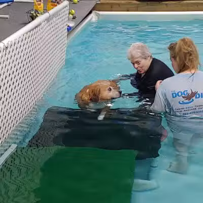 The Dog Dive, LLC - Kalamazoo,
