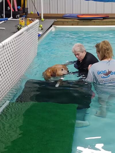 The Dog Dive, LLC - Kalamazoo,